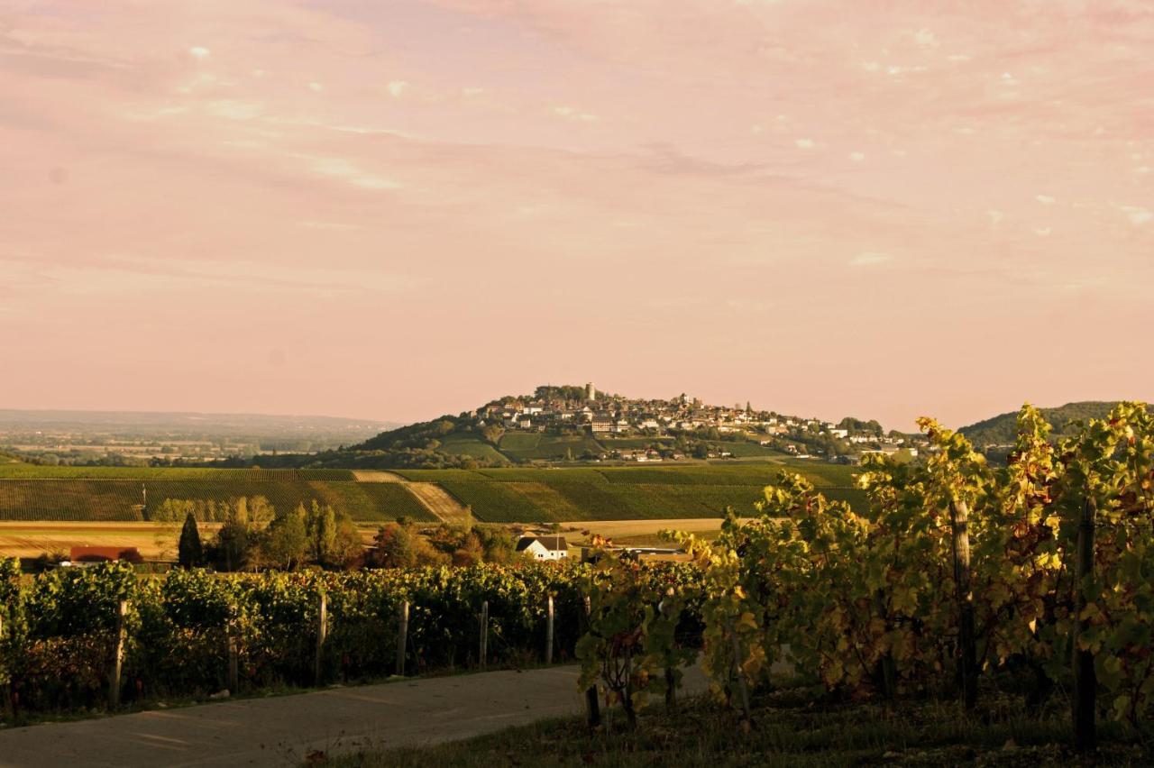 Au 9 Rue De La Paix, Maison D Elisabeth Villa Sancerre Eksteriør billede